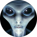 user_profile